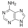 ADENINE CRS