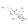 CLINDAMYCIN HYDROCHLORIDE CRS