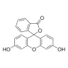FLUORESCEIN CRS