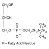 LYSOPHOSPHATIDYLCHOLINE FROM EGG YOLK CRS