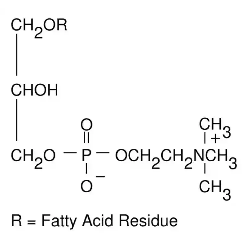 LYSOPHOSPHATIDYLCHOLINE FROM EGG YOLK CRS