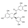 (-)-EPIGALLOCATECHIN-3-O-GALLATE CRS
