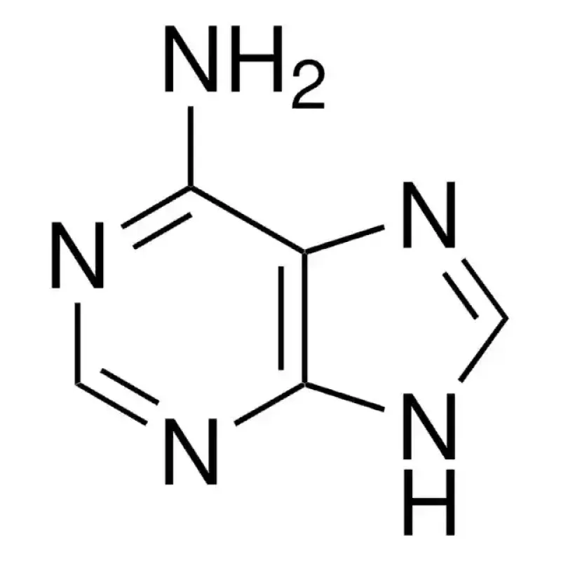 MERCAPTOPURINE IMPURITY B CRS
