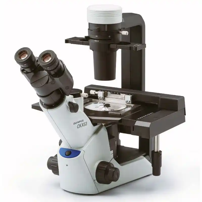 Evident Olympus Inverted microscope Olympus CKX53 with stage drive, trino, INFINITY, PLAN ACHROMAT, LED, without Objectives!