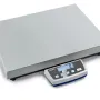Platform scale
DE 150K20DXL