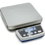 Platform scale
DE 6K0.5A