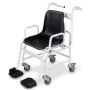 Chair scale
MCD 300K-1