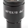 Microscope eyepiece
OBB-A1348