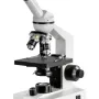 Compound microscope
OBS 113