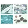 LIEDER Rocks and Minerals, Ground Thin, Fossils and Meteorites, Set no. VI, 4 Microscope Slides size 30x45 mm, without box