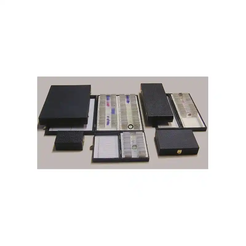 LIEDER K50, Box for prepared slides