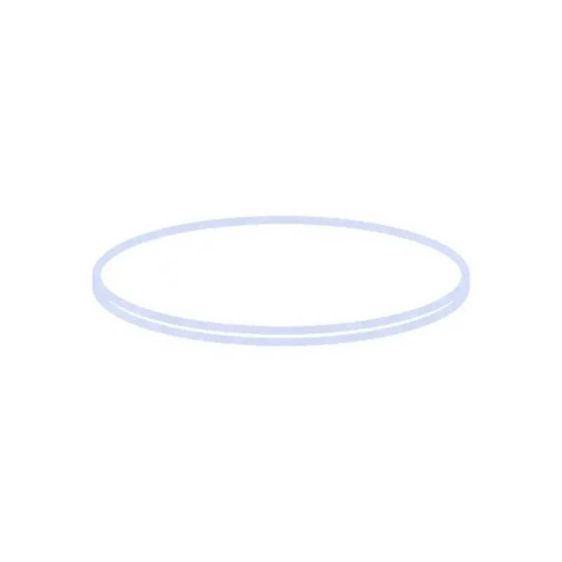 N 8 Septa, PTFE virginal, white Hardness: 53° shore D Thickness: 0.25 mm pack of 100