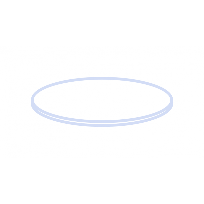 N 9 septa, PTFE virginal, white Hardness: 53° shore D Thickness: 0.25 mm pack of 100
