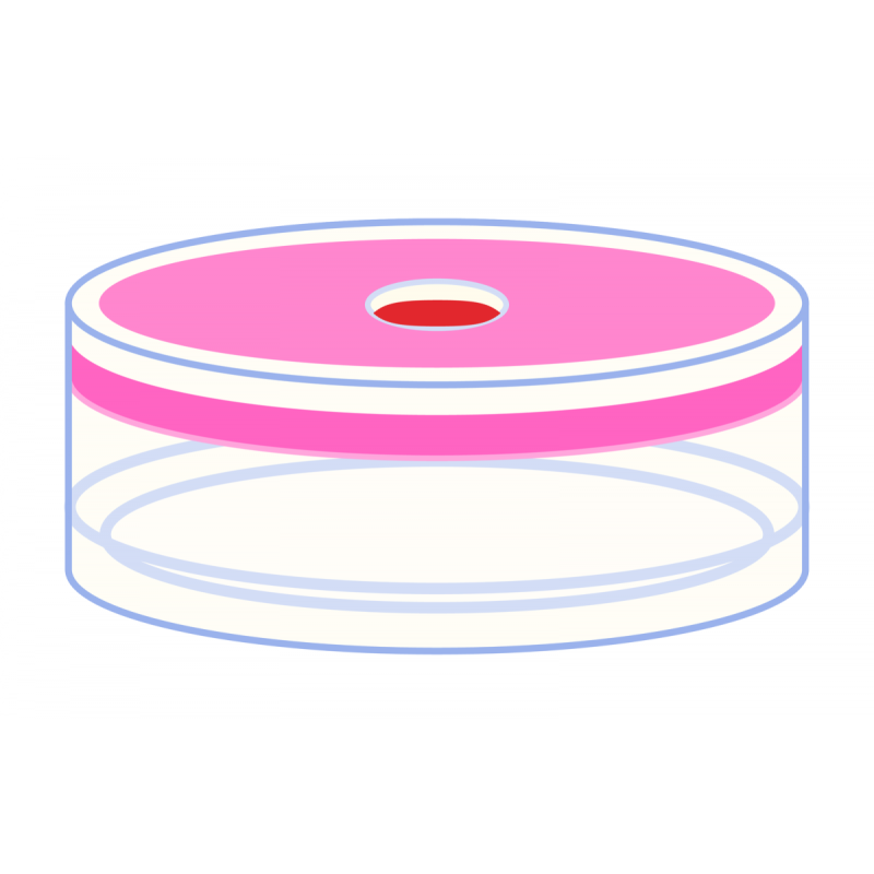 N 20 PE Cap for crimp neck vials with flat DIN crimp neck N 20 transparent, center hole Natural Rubber red-orange/TEF colorless Hardness: 45° shore A Thickness: 1.3 mm pack of 100