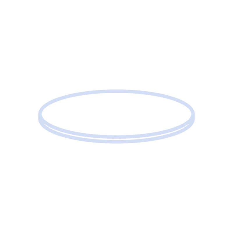 N 8 Septa, PTFE virginal, white Hardness: 53° shore D Thickness: 0.25 mm pack of 100