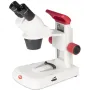 Motic Stereo microscope RED30S, bino, 20x - 40x, LED