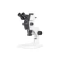 Motic SM7TR-P APO1X stereo zoom microscope, trino, 8-56X, WD 81 mm, 7:1