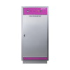 Pass Through Oven