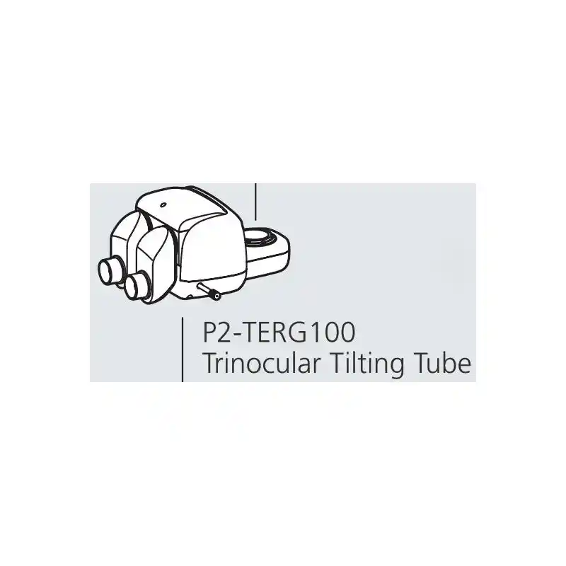 Nikon Stereo zoom head P2-TERG 100 trino ergo tube (100/0 : 0/100), 0-30°