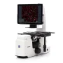 ZEISS Microscope Axiovert 5 Digital, PH, FL, 50-400x, Ph1, 0.4 NA, LED, 5 MP, colour