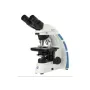Euromex OX.3030 binocular microscope