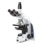 Euromex Microscope iScope IS.1153-PLPH, PH, trino, DIN, plan, 100x-1000x, LED, 3W