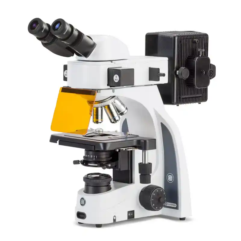Euromex Microscope iScope, IS.3153-PLFi/3, trino