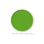 Euromex AE.3202, Green filter 45 mm for lamphouse (Oxion)