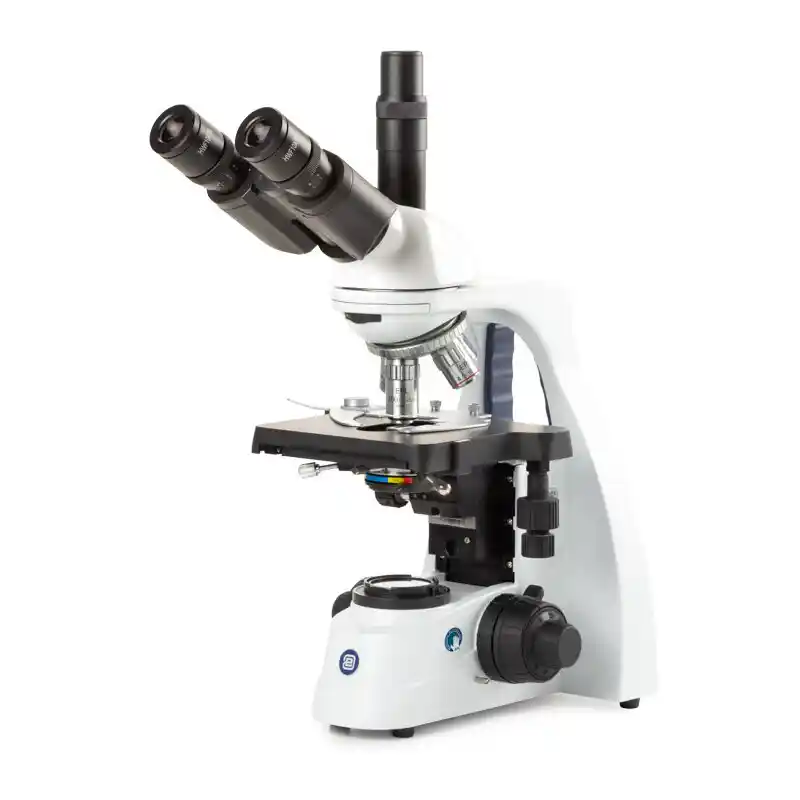 Euromex Microscope BS.1153-EPL, trino, 40x-1000x