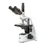 Euromex Microscope BS.1153-EPL, trino, 40x-1000x