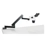 Euromex NZ.1702-A, NexiusZoom EVO, 6.5x to 55x, articulated stand, w.o. illumination, bino