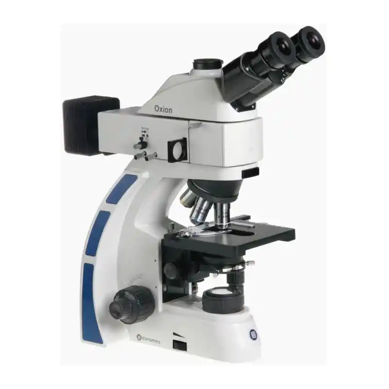 Euromex Microscope OX.3240, bino