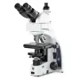 Euromex Microscope iScope IS.1159-PLPHi, Bino + Phototube, infinity, Plan Phase IOS 100x-1000x, 10x/22 DL, Köhler LED