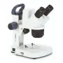 Euromex Microscope ED.1805-S, Stereo, Digital, 5 MP, 10x/20x/40x, LED
