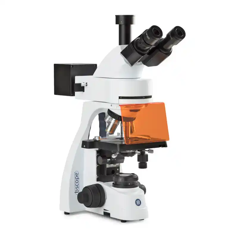 Euromex Microscope BS.3153-PLFi, trino, 40x-1000x