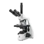 Euromex Microscope BS.1153-EPL/DF, DF, trino, 10x/20 mm, PL, 40x-1000x, DL, 5W LED