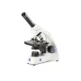 Euromex Microscope MicroBlue, MB.1651, mono, DIN 160, achro, 40x-600x, 10x/18, Dl, rechargeable battery, LED, 1W