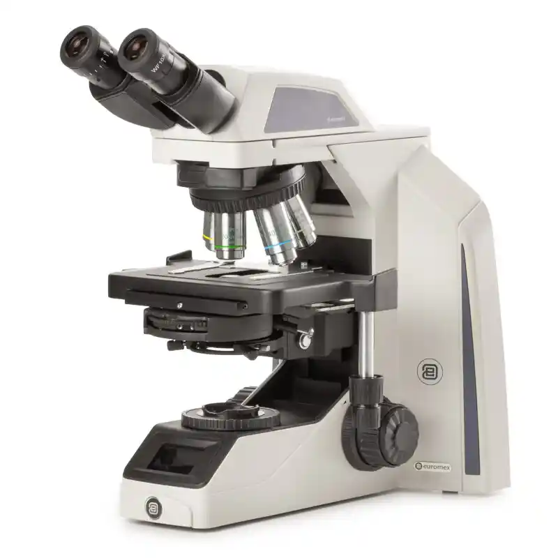 Euromex Microscope Achios-X Observer, AX.1152-PLPHi, bino, EWF 10x/22 mm, plan, PH, PLPHi 10/20/S40/S100x oil IOS, 3 W NeoLED™
