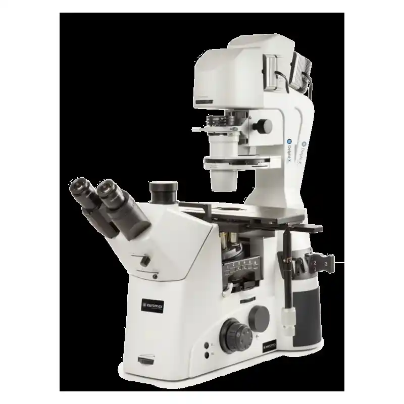 Euromex Inverted microscope DI.1053-PLPHFi, trino, 100-400x, IOS, LED