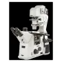 Euromex Inverted microscope DI.1053-PLPHFi, trino, 100-400x, IOS, LED
