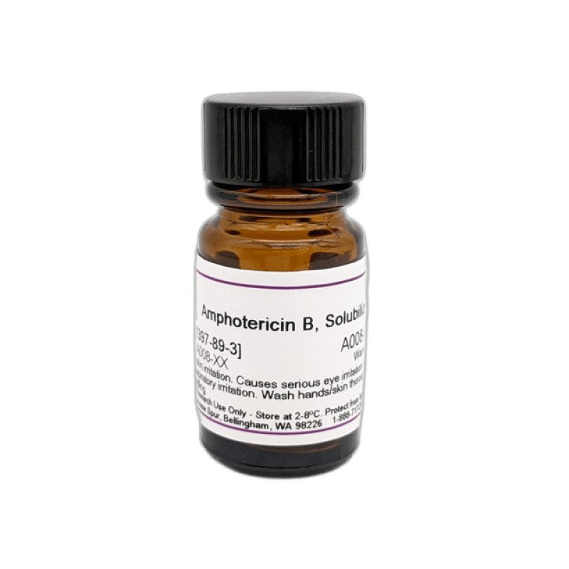 Amphotericin B Solubilized 1 g