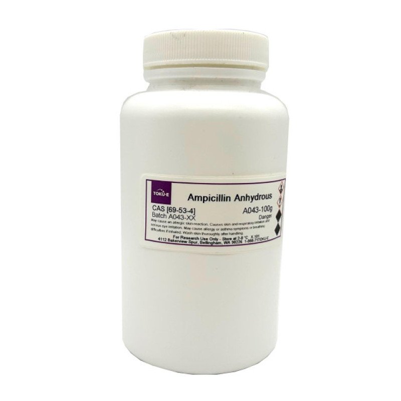 Ampicillin Anhydrous 100 g