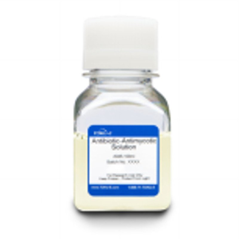 Antibiotic-Antimycotic Solution (100X) 10 x 100 mL