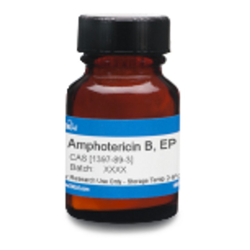 Amphotericin B EP 500 mg