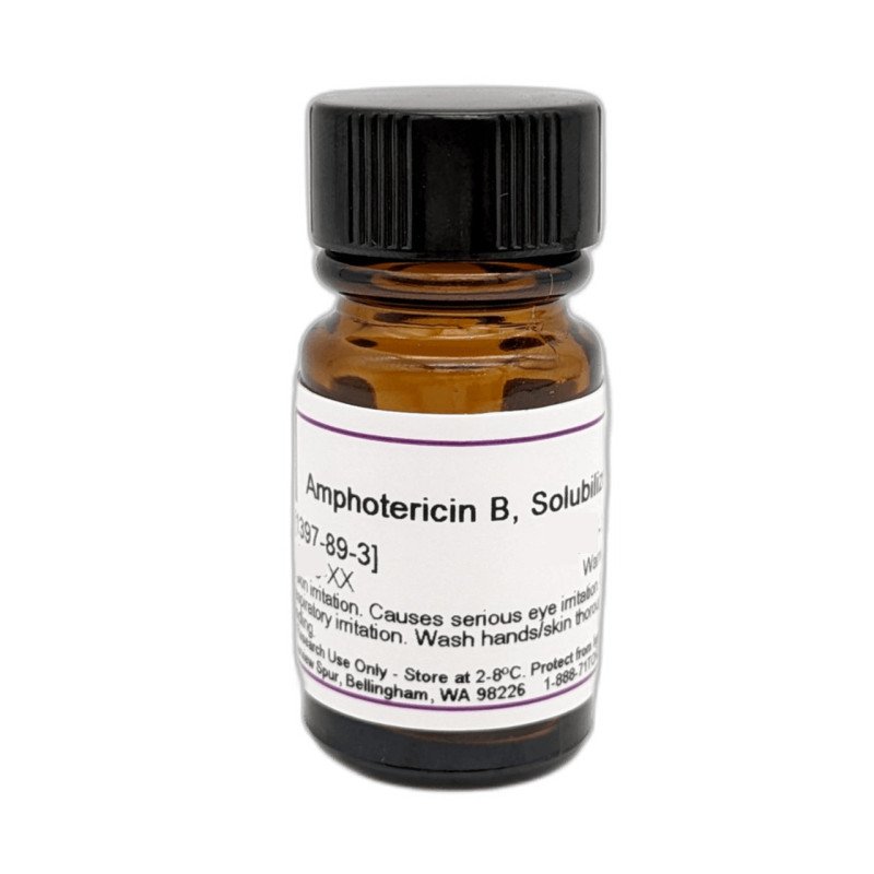Amphotericin B, Solubilized, Lyophilized 1 g