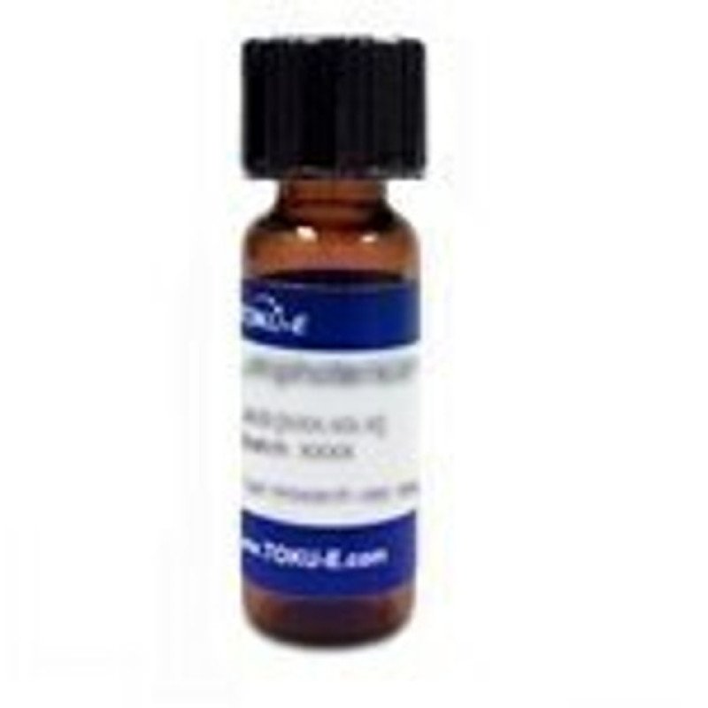 1-Acetylchloramphenicol 0.25 mg