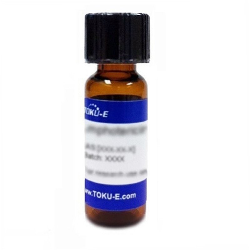 2â€™-C-Methylcytidine 10 mg