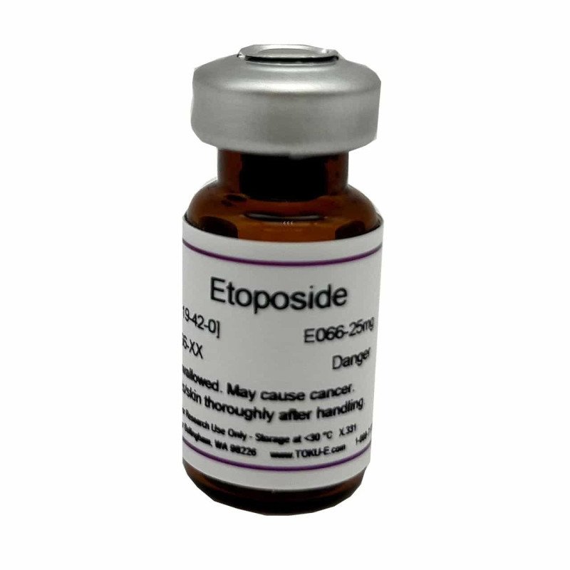 Etoposide 25 mg