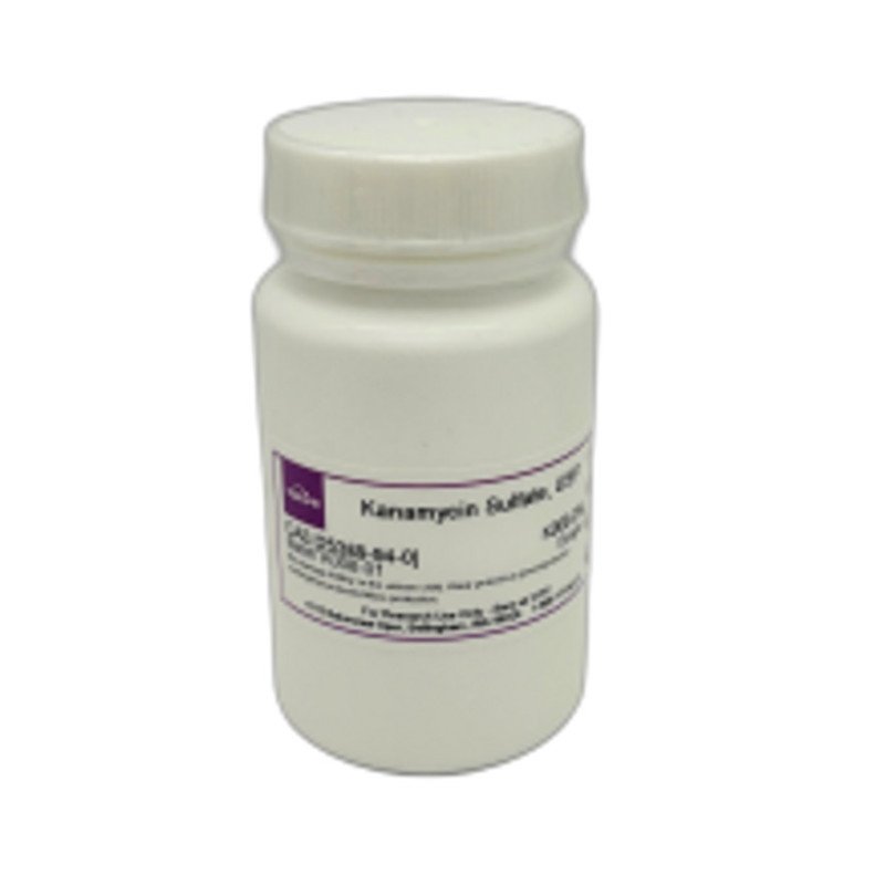Kanamycin Sulfate USP 25 g